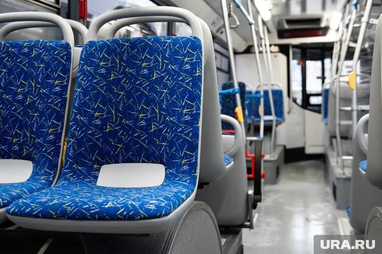 Автобусам разрешат менять маршруты. Фото: Анна Майорова © URA.RU