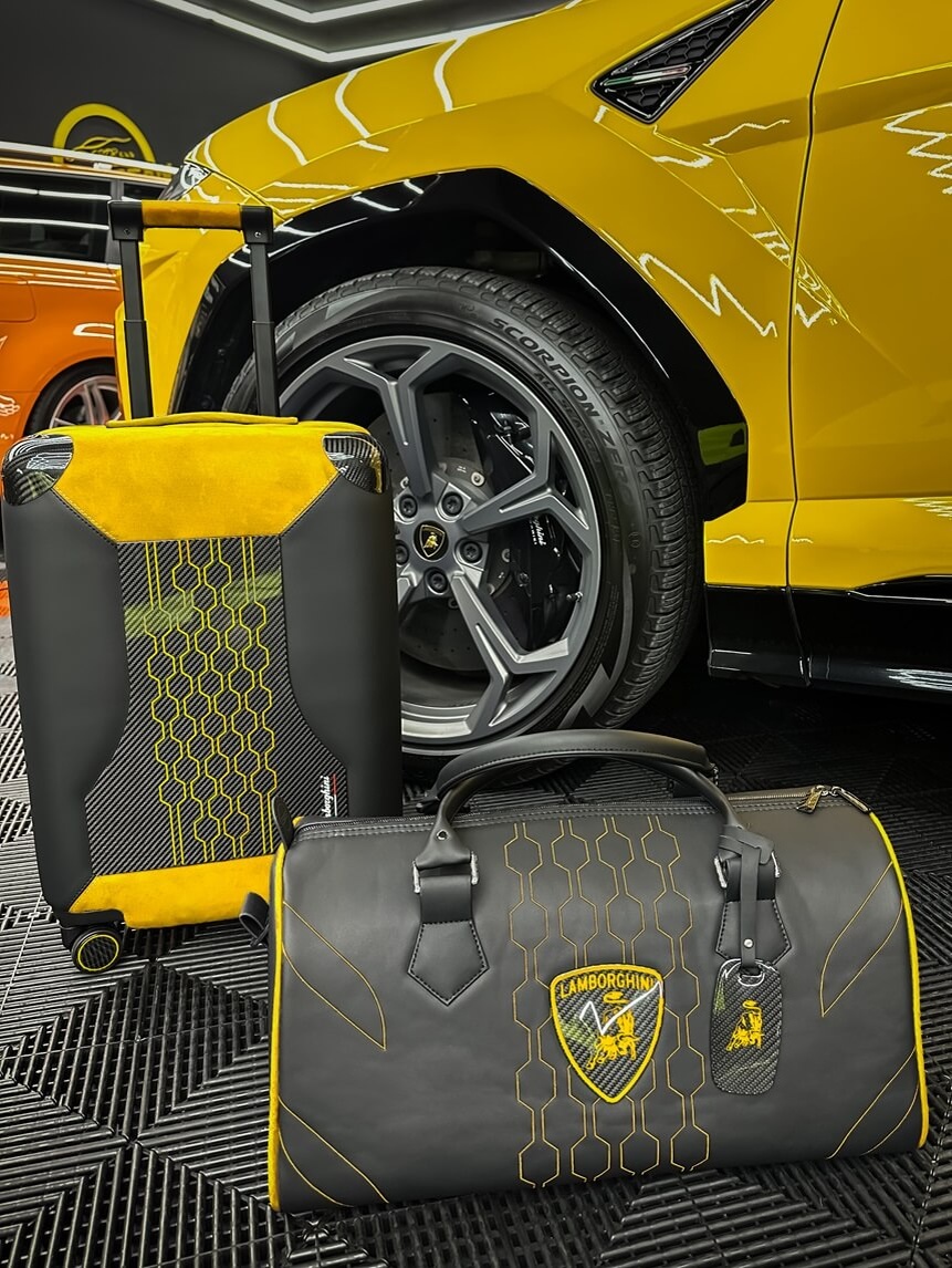 Чемодан с кастомизацией REGARDS