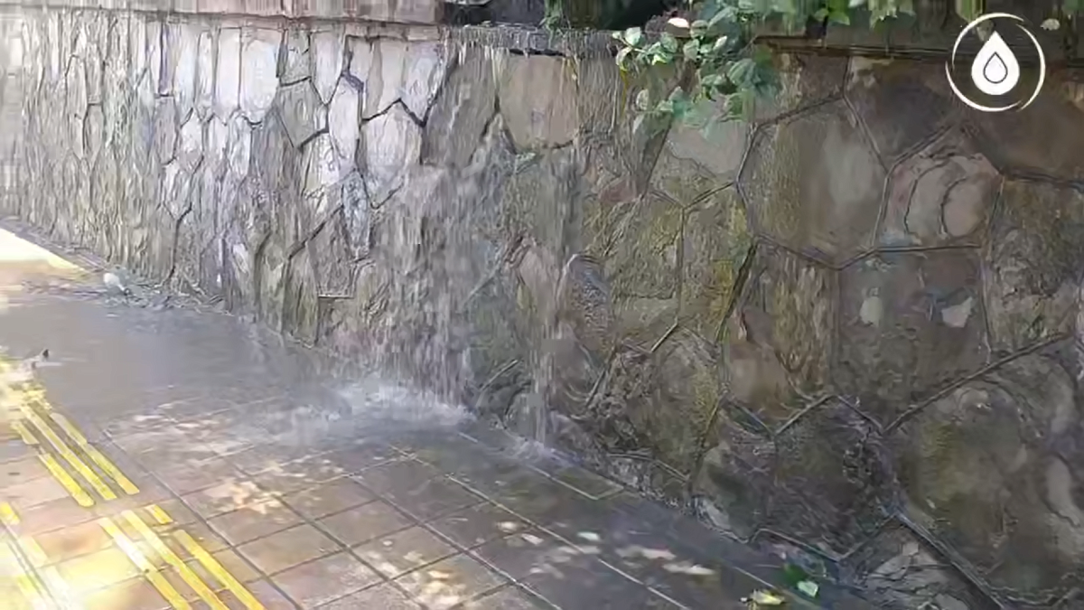    Фото: t.me/wcups