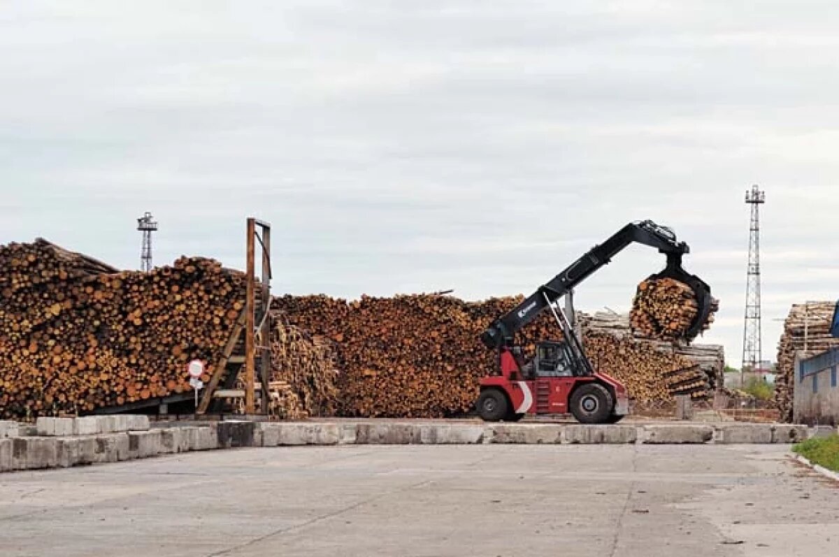    Стало известно, в какие страны Карелия поставляет лесопродукцию