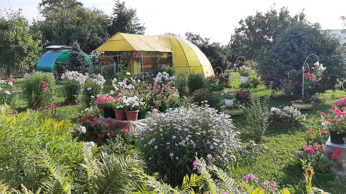 Наш участок летом.