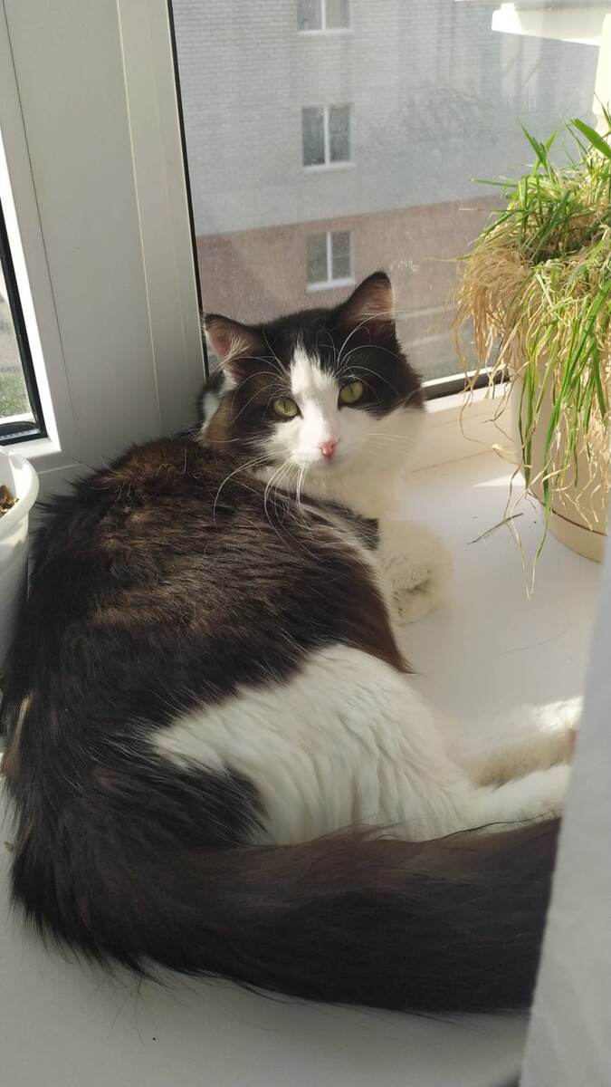 фото автора