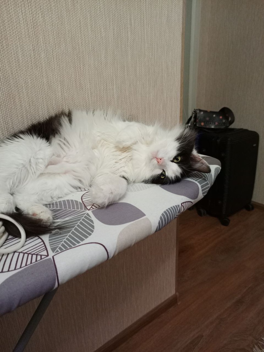 фото автора