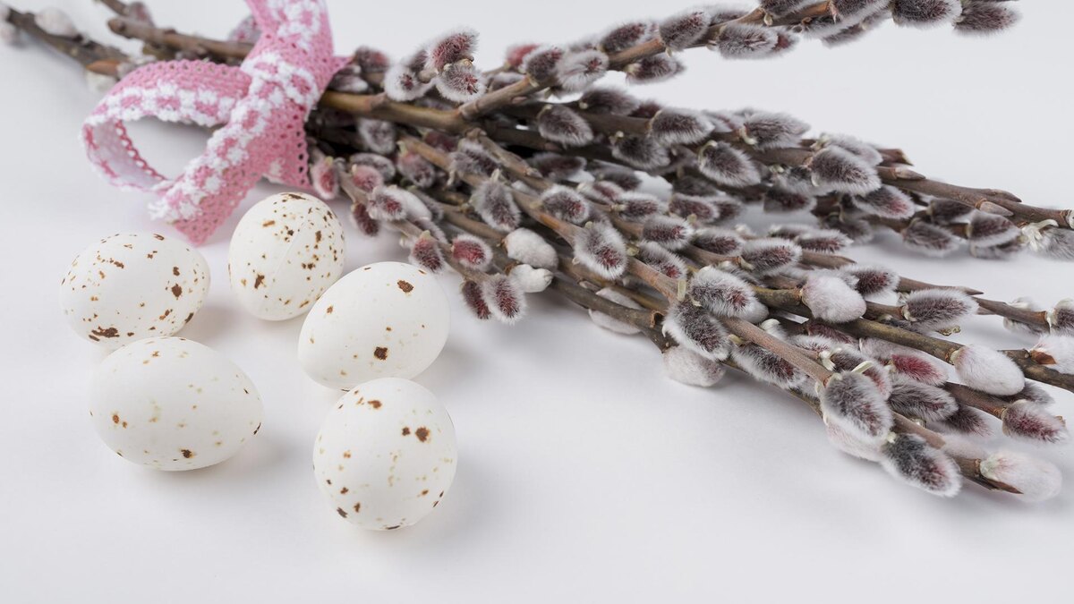 Фото: freepik.com