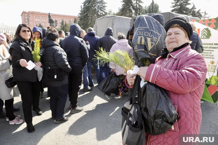 За саженцами пришли челябинцы разных возрастов. Фото: Вадим Ахметов © URA.RU