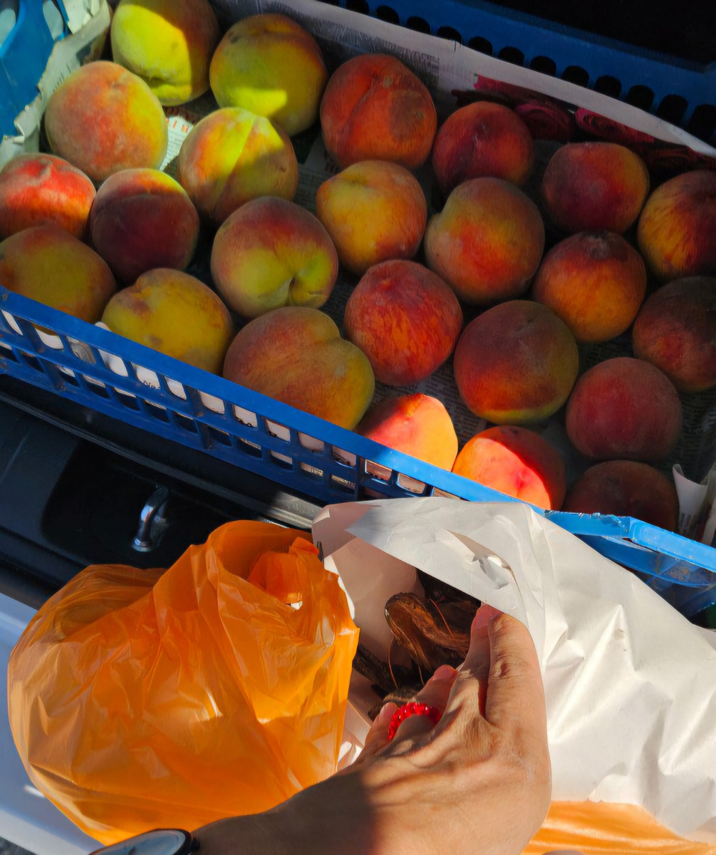 Персики из Запорожской области