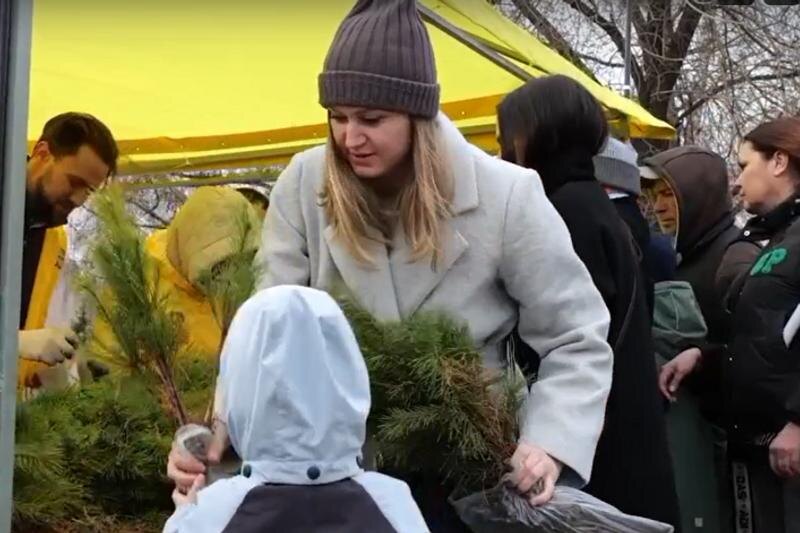    Скрин видео ЧРО "Справедливой России"