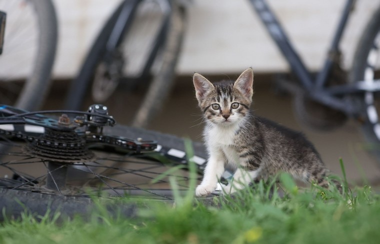    Алексей Белкин/NEWS.ru