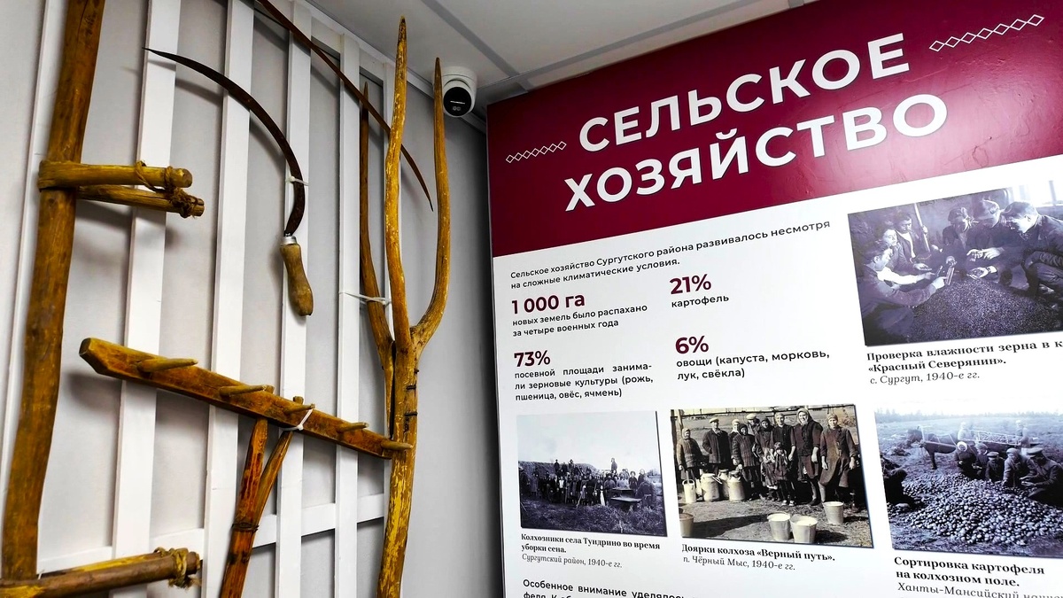    Открылась выставка о вкладе сургутян в Великую Победу