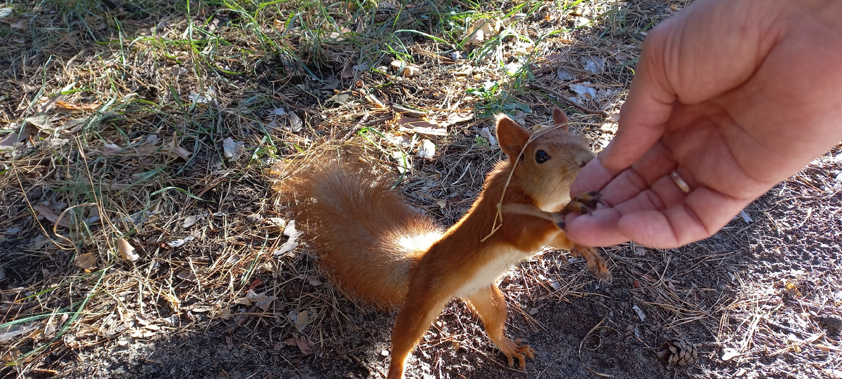Фото автора (из личного архива)