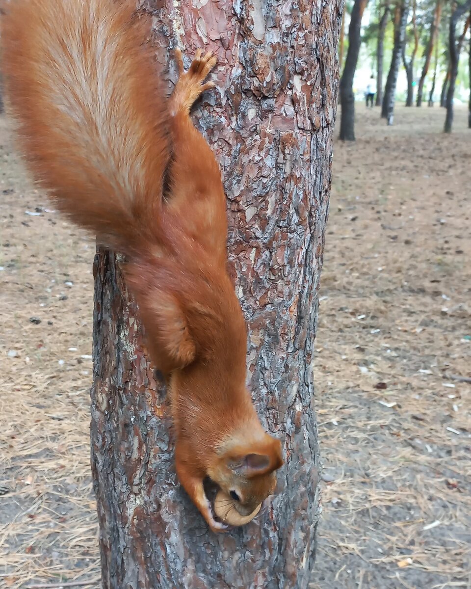 Фото из личного архива