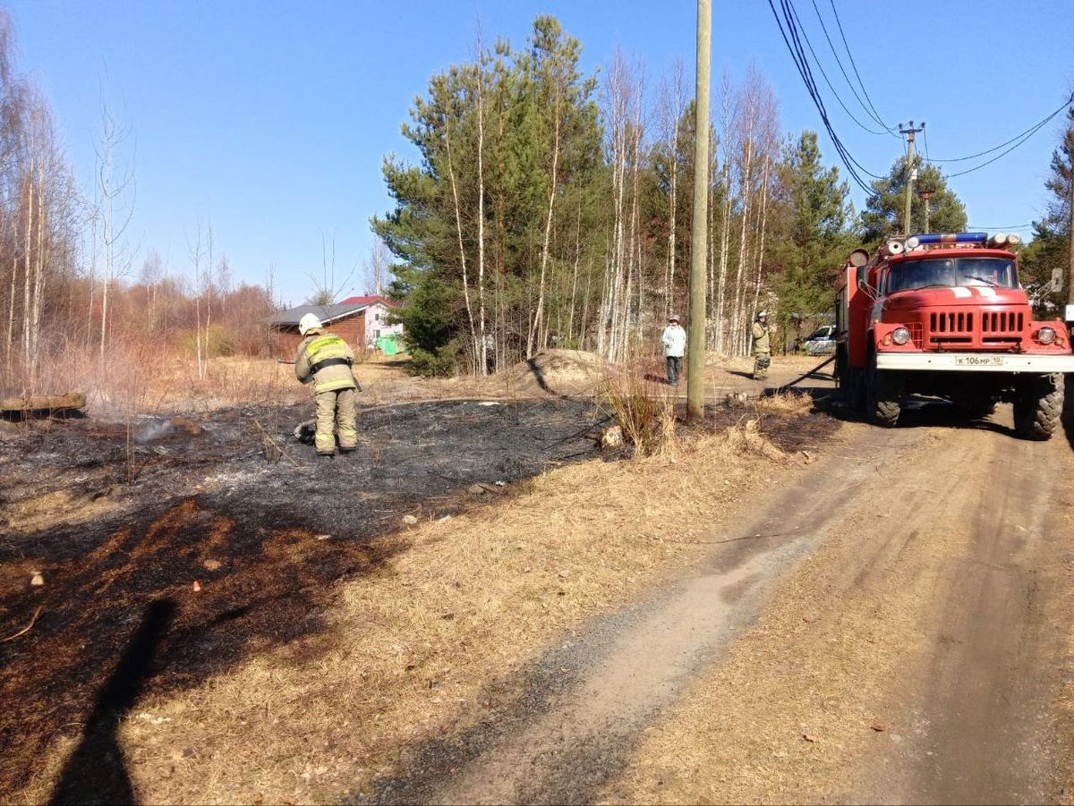 Фото: Госкомитет Карелии по безопасности / Telegram📷
