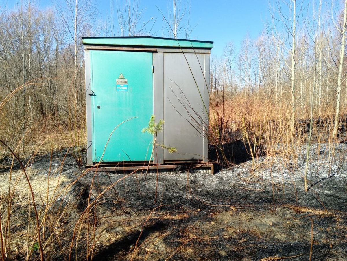 Фото: Госкомитет Карелии по безопасности / Telegram📷
