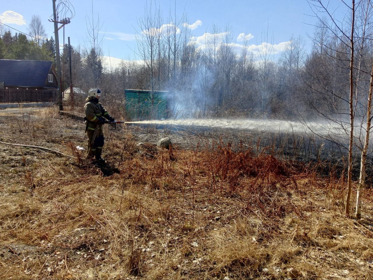 Фото: Госкомитет Карелии по безопасности / Telegram📷
