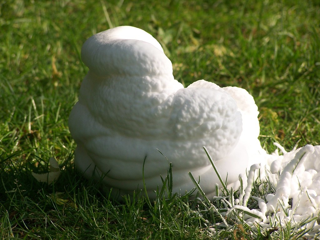    Paul Williams - Flickr