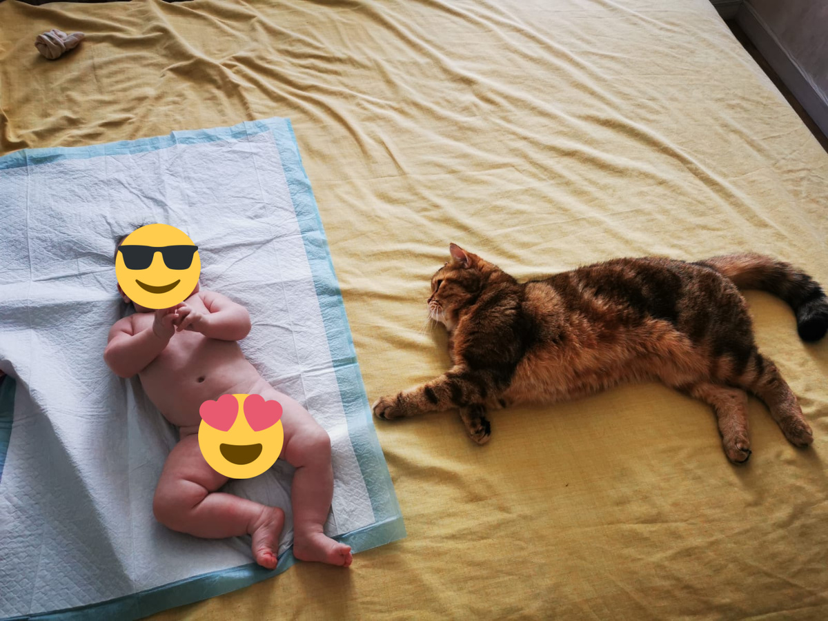 Персик совсем осмелел, лежит очень близко и даже лапкой пытался Машу по коленке погладить, но она дернула ножку и он убрал лапку. Это так трогательно и так мило