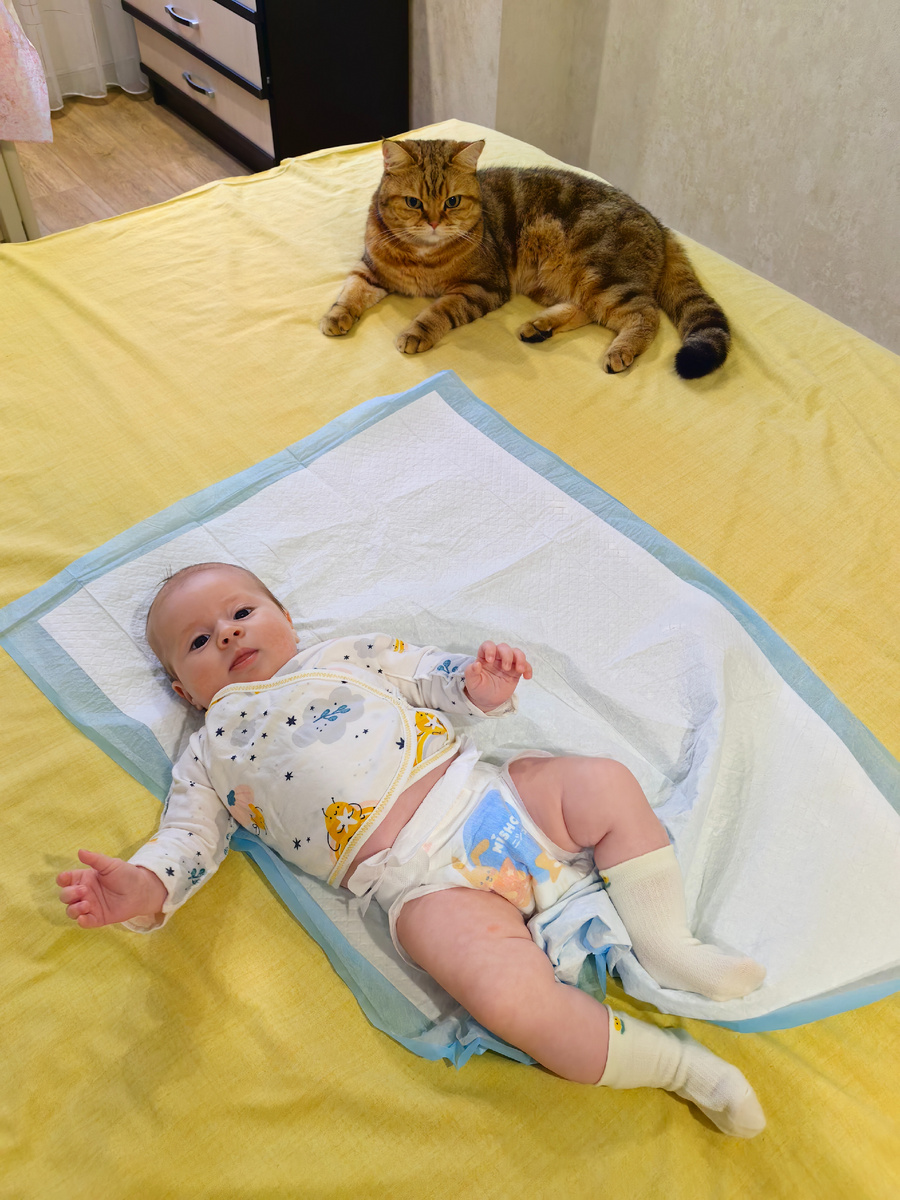 Все процедуры под чутким присмотром Персика. Учавствует, помогает, такой он милый.