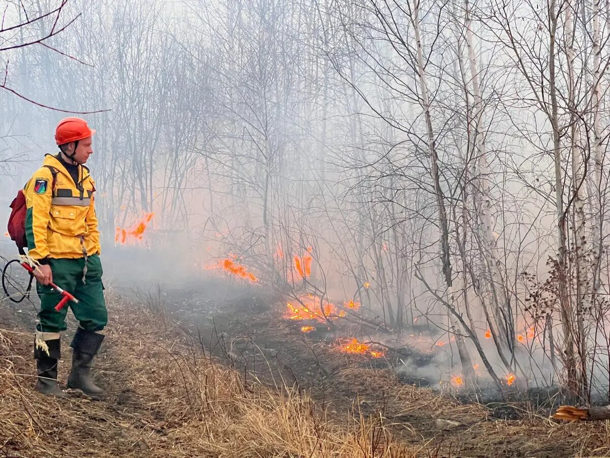    Фото: федеральная авиалесохрана