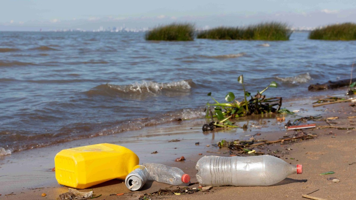    Пластиковые отходы и рыболовные снасти засоряют Мировой океан. Фото: Freepik