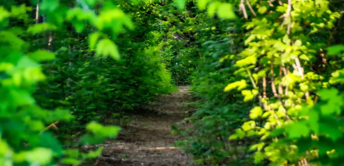 Фото: Виталий Барабаш/«Толк»