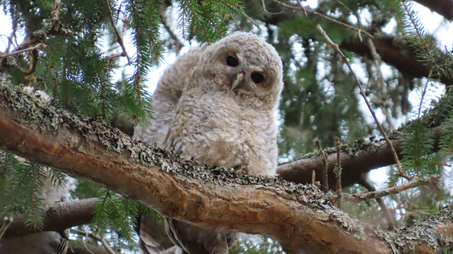 Фото: Парк Монрепо