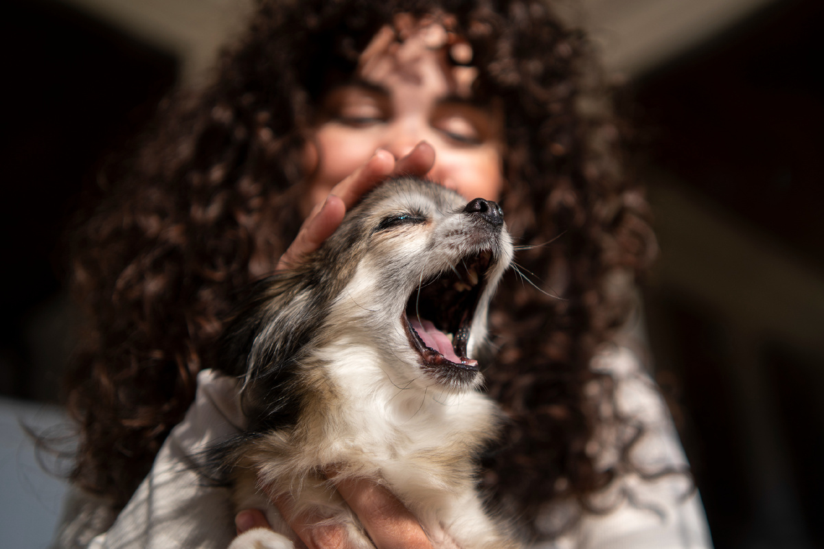 Больше интересного в нашем Telegram-канале! https://t.me/grand_prix_pet_food