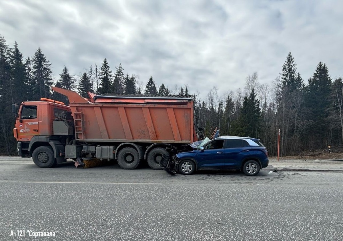    Фото: Госавтоинспекция Карелии / ВК