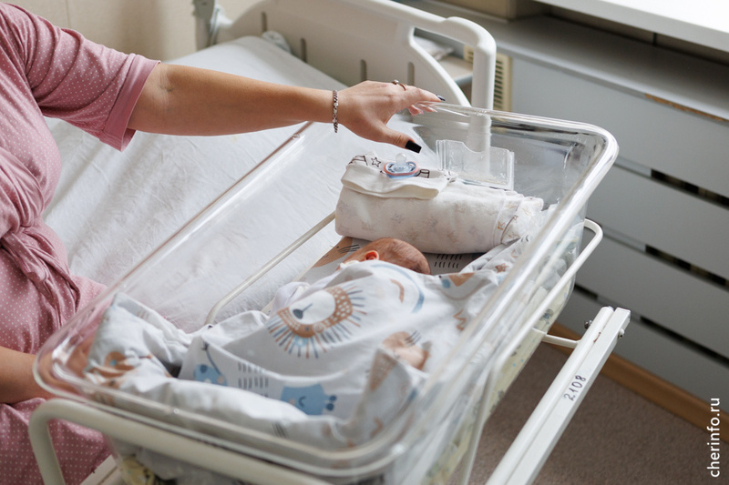    Меры поддержки входят и в программу губернатора "Семья - оплот Русского Севера".