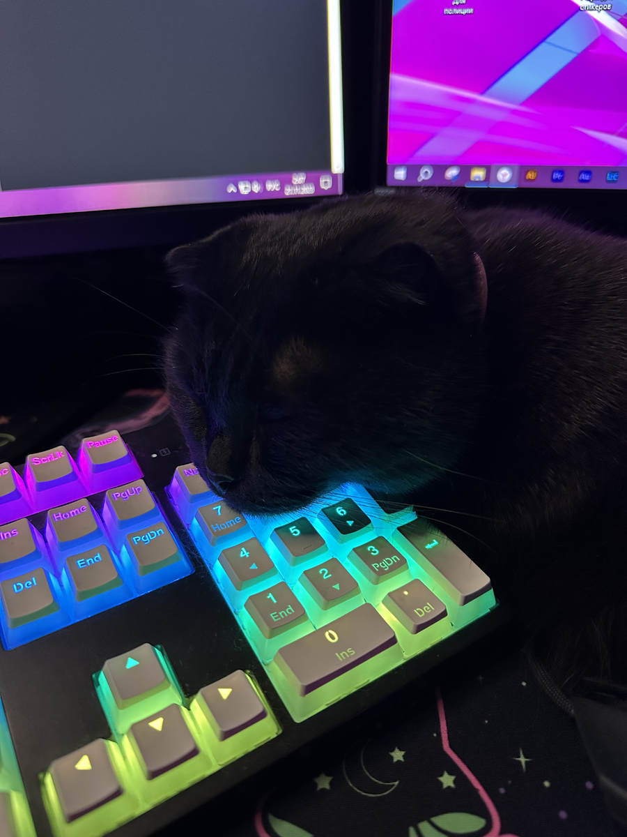 Фото автора. Рабочий процесс не обходится без моей помощницы :)