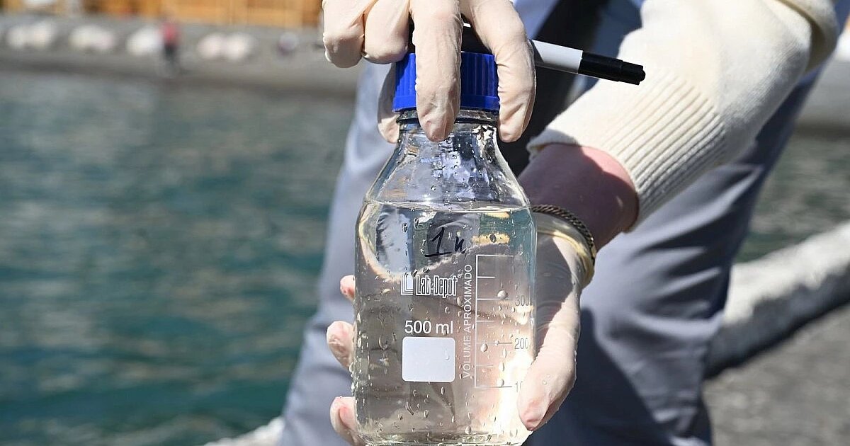 Фото: пресс-служба администрации Сочи