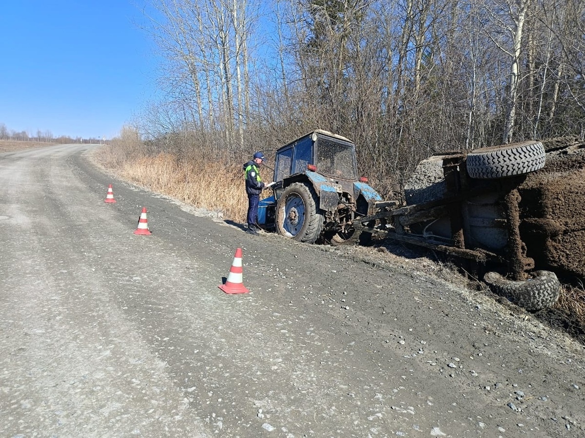 Фото: Госавтоинспекция Свердловской области  📷
