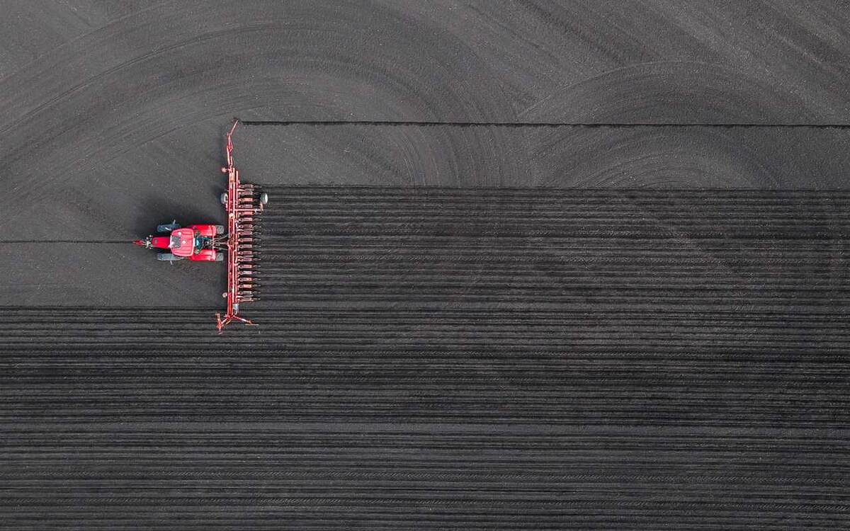    Посевная ранних яровых зерновых культур в воронежских хозяйствах ГК «Продимекс» вышла на финиш Фото – ГК «Продимекс»