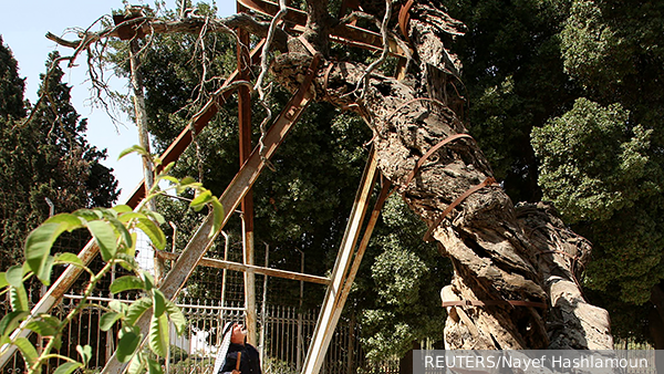     Фото: REUTERS/Nayef Hashlamoun    
 Текст: Мария Иванова