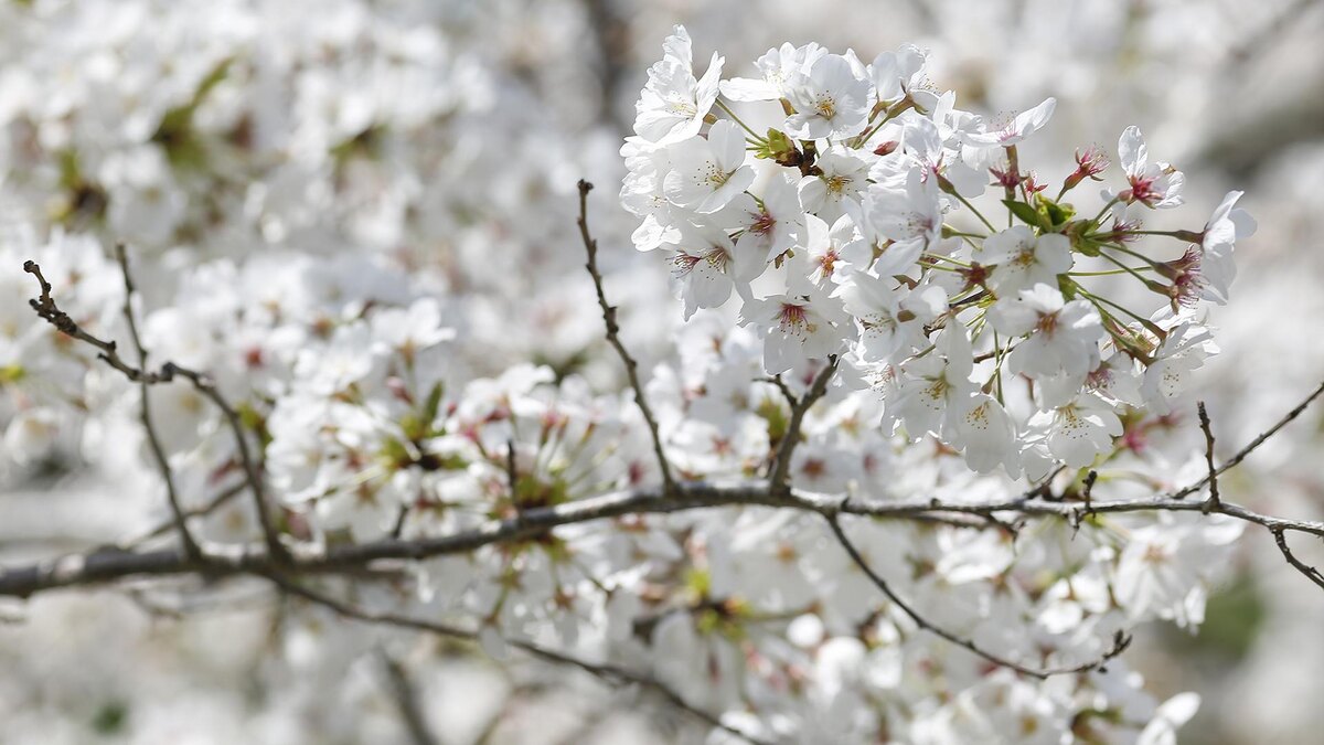 Фото: Rodrigo Reyes Marin/globallookpress.com