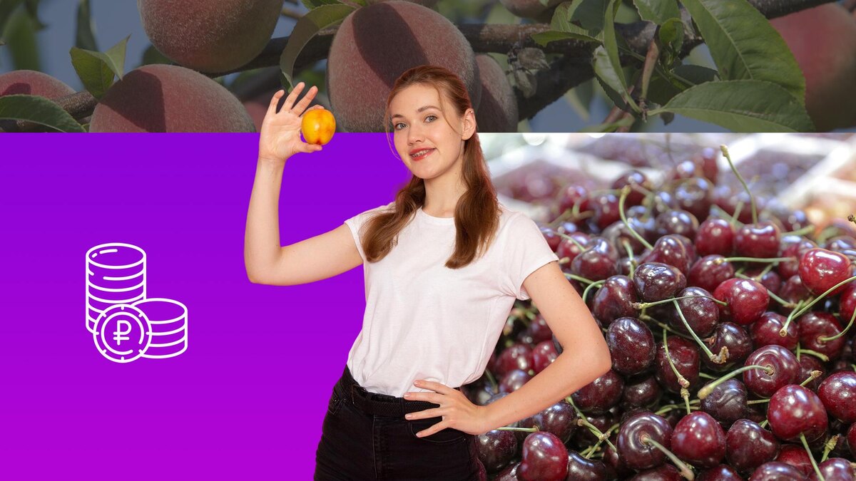 Коллаж 78.ru: Bulkin Sergey; Nikolay Gyngazov/globallookpress.com, freepik.com/KamranAydinov, flaticon.com/Icongeek26