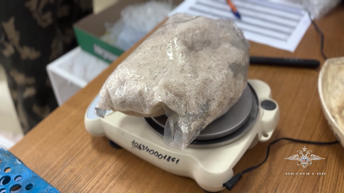    Фото: МВД России