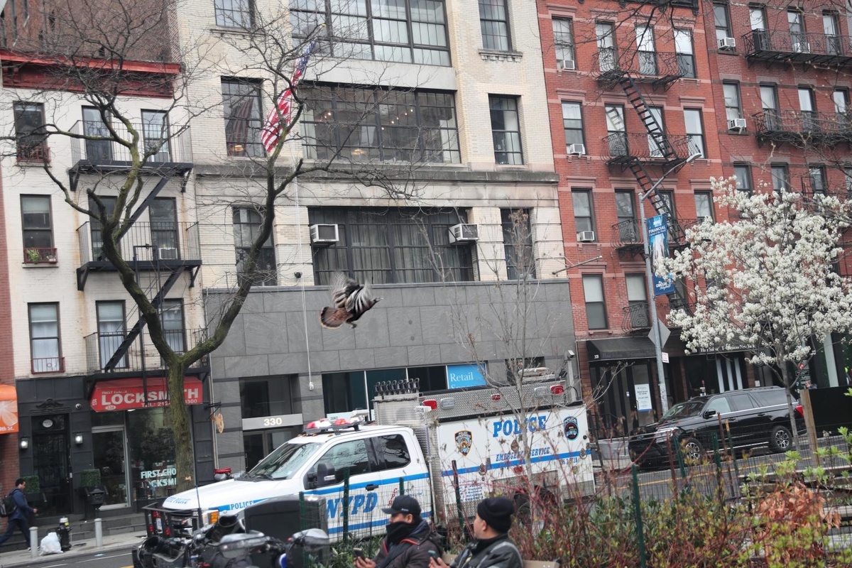 Источник: nypost.com