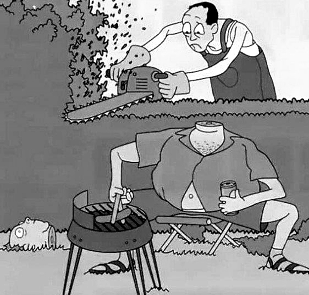 Фото с интернета 