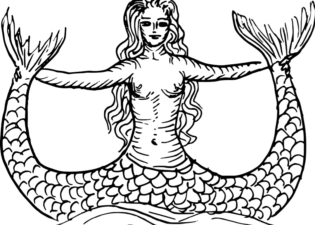 Картинка с интернета 