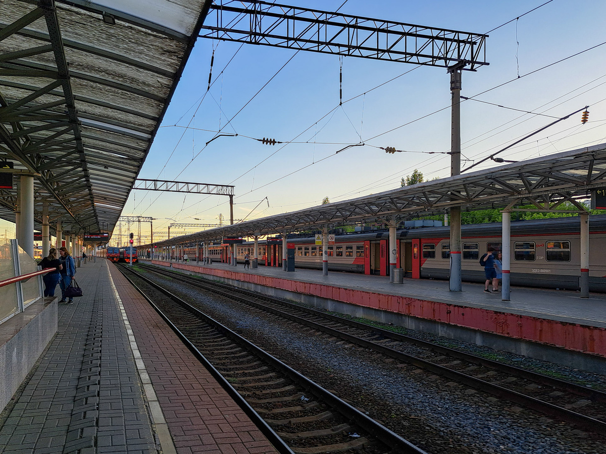 Транспорт будет ездить по выходным и праздничным дням.  Фото: Фото: ФедералПресс / Вера Романескул