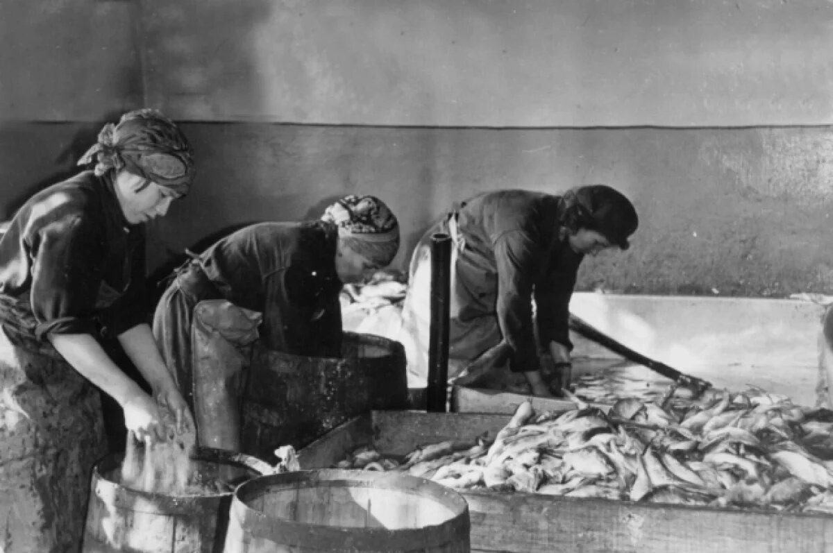    Женщины обрабатывали рыбу и собирали ее в бочки.