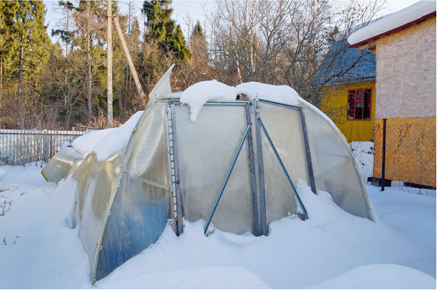 Последствия неправильного выбора поставщика и/или несоблюдение рекомендаций производителя по содержанию теплицы в зимний период.