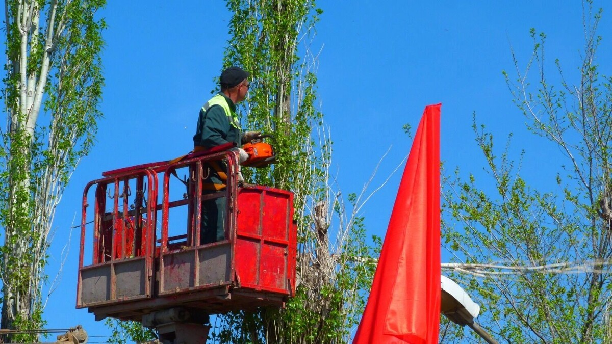     Источник: novostivolgograda.ru