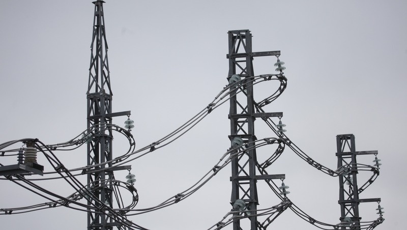      Фото: ИА «Победа26»