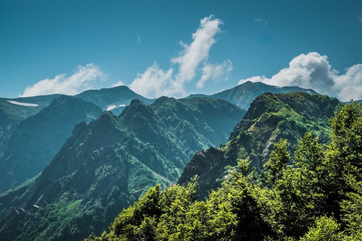 Яндекс Картинки