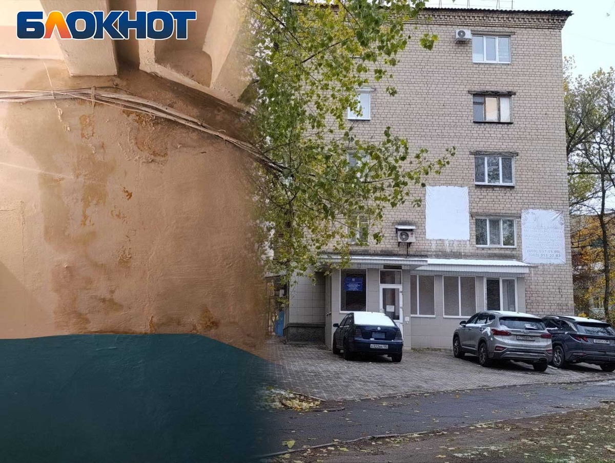 Коллаж: «Блокнот Донецк»