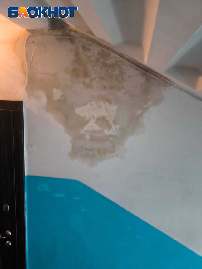 Фото: «Блокнот Донецк»