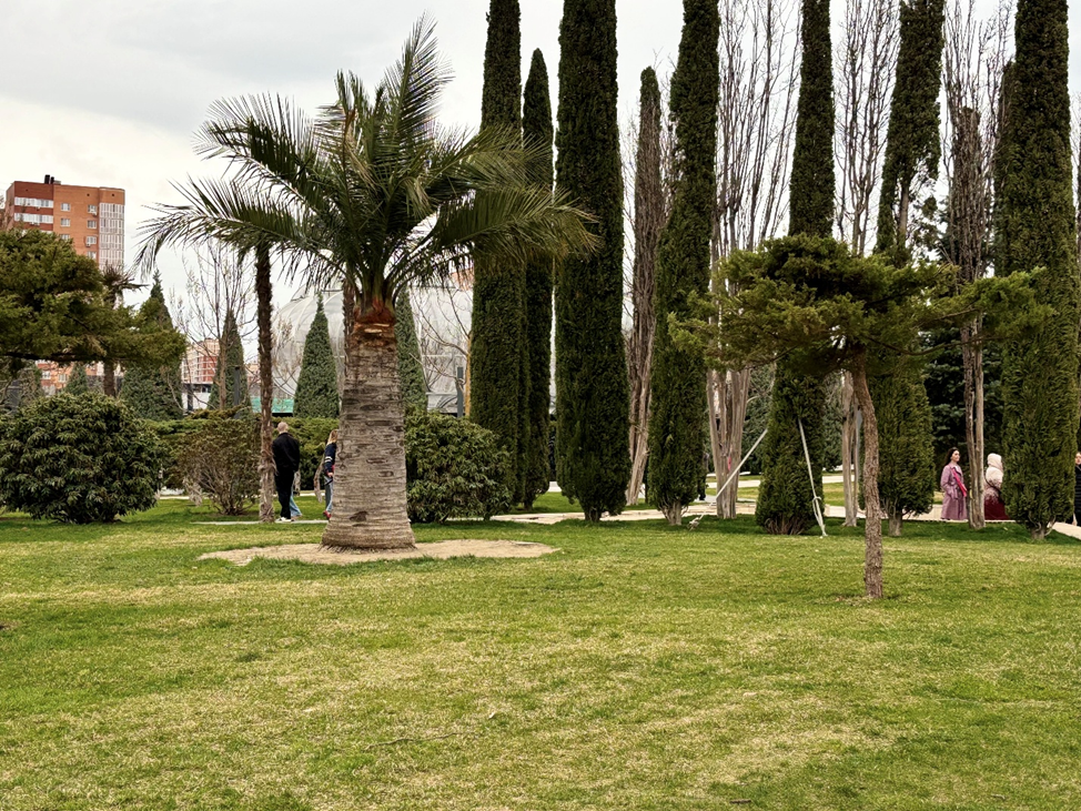 Парк Галицкого