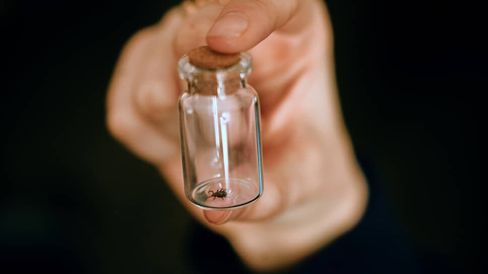 Фото: Мария Бакланова / Коммерсантъ