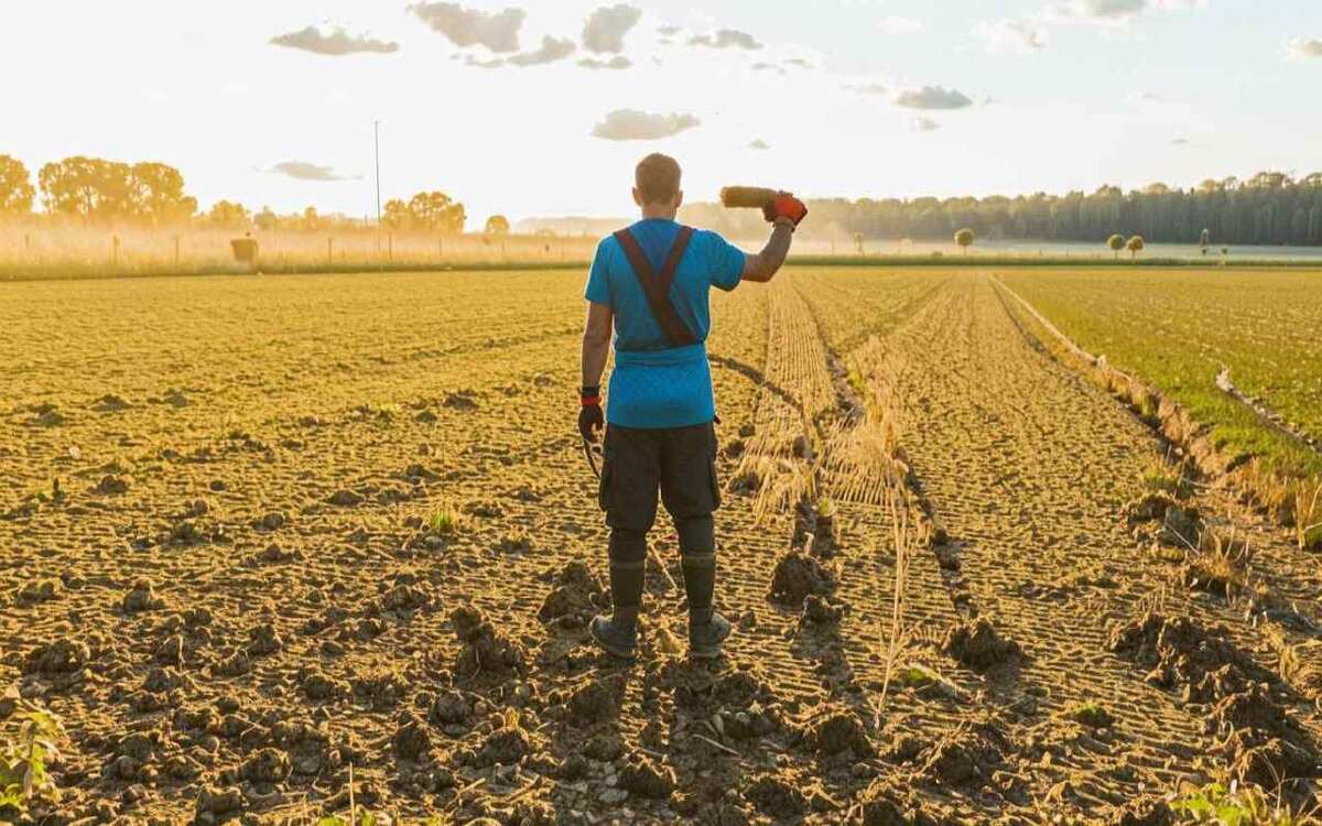    Суд смог выгнать «БКР-Агро» с незаконно занятой земли в Лискинском районе Иллюстрация: нейросеть «Кандинский»